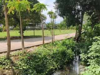 For sale land in Saraphi, Chiang Mai