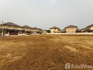 For sale land in San Sai, Chiang Mai