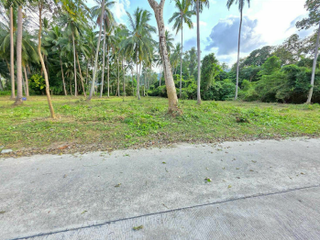 ขาย ที่ดิน ใน เกาะสมุย, สุราษฎร์ธานี