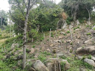 ขาย ที่ดิน ใน เกาะพะงัน, สุราษฎร์ธานี