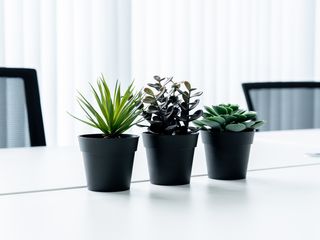 For rent office in Mueang Phuket, Phuket