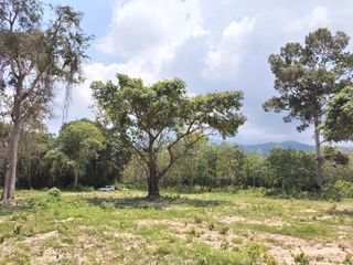ขาย ที่ดิน ใน เกาะสมุย, สุราษฎร์ธานี