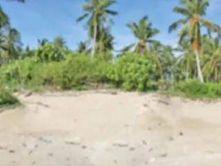 For sale land in Ko Lanta, Krabi