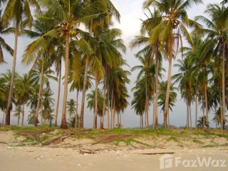 For sale land in Ko Lanta, Krabi
