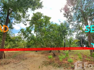 For sale land in Mueang Krabi, Krabi