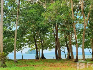 For sale land in Mueang Krabi, Krabi