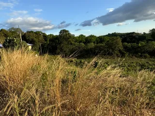 For sale land in Ko Lanta, Krabi