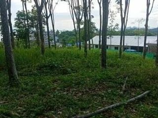 For sale land in Mueang Krabi, Krabi