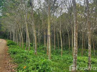 For sale land in Mueang Krabi, Krabi