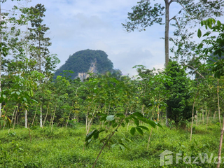 For sale land in Mueang Krabi, Krabi