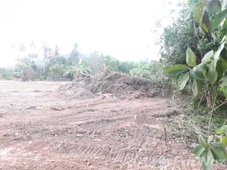 For sale land in Ko Lanta, Krabi