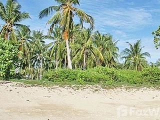 For sale land in Ko Lanta, Krabi