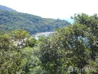For sale land in Ko Lanta, Krabi