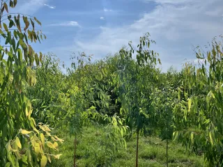 For sale land in East Pattaya, Pattaya