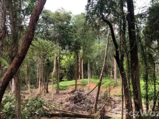 For sale land in Mueang Krabi, Krabi