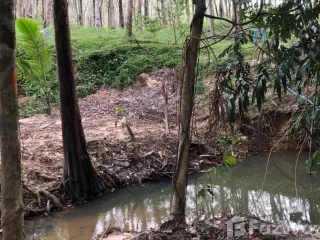 For sale land in Mueang Krabi, Krabi