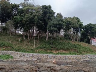 For sale land in Thalang, Phuket