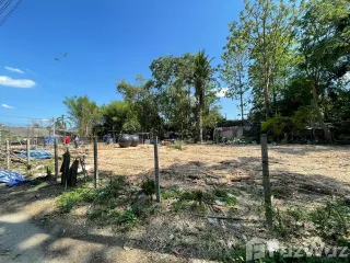 For sale land in Mueang Chiang Mai, Chiang Mai