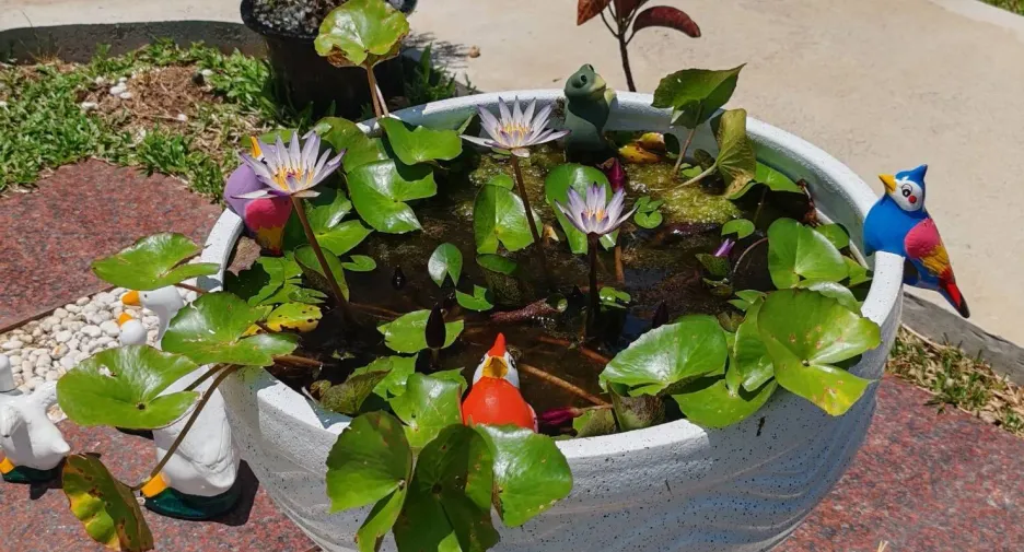For sale 5 bed house in Hang Dong, Chiang Mai
