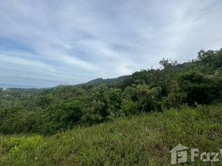 For sale land in Ko Samui, Surat Thani
