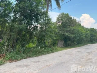 For sale land in Doi Lo, Chiang Mai