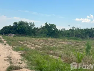 For sale land in Doi Lo, Chiang Mai