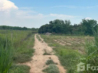 For sale land in Doi Lo, Chiang Mai