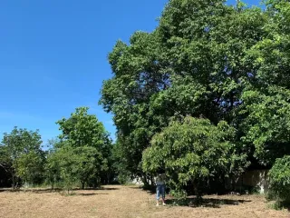 For sale land in Hang Dong, Chiang Mai