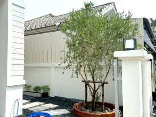 For rent 3 bed house in Mueang Chiang Mai, Chiang Mai