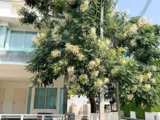 For sale 3 Beds townhouse in Hang Dong, Chiang Mai