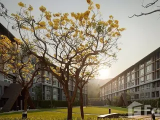For sale 1 bed condo in Mueang Chiang Mai, Chiang Mai