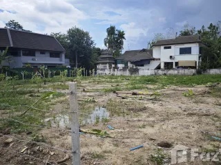 For sale land in San Sai, Chiang Mai