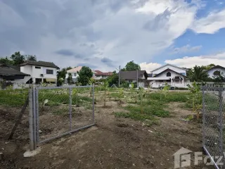 For sale land in San Sai, Chiang Mai
