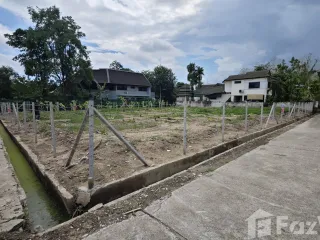 For sale land in San Sai, Chiang Mai
