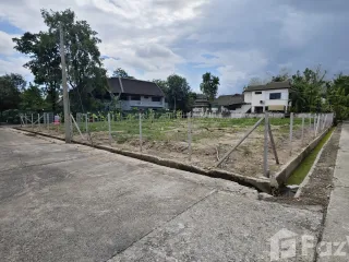 For sale land in San Sai, Chiang Mai
