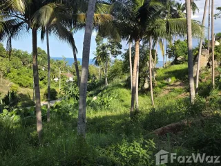 ขาย ที่ดิน ใน เกาะสมุย, สุราษฎร์ธานี