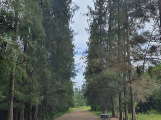 For sale land in Ban Bueng, Chonburi