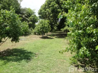 For sale land in Mueang Sakon Nakhon, Sakon Nakhon