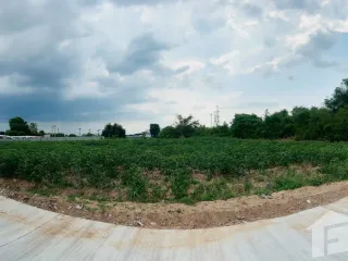 For sale land in Mueang Nakhon Ratchasima, Nakhon Ratchasima