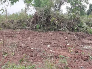 For sale land in Phen, Udon Thani