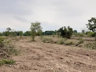 For sale land in Phen, Udon Thani