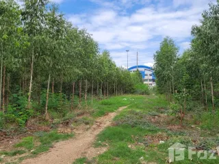 For sale land in Wang Noi, Phra Nakhon Si Ayutthaya