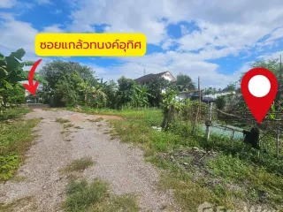 For sale land in Sadao, Songkhla