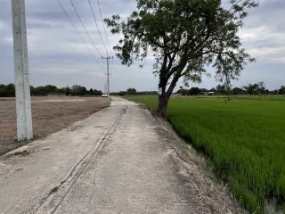 For sale land in Sao Hai, Saraburi
