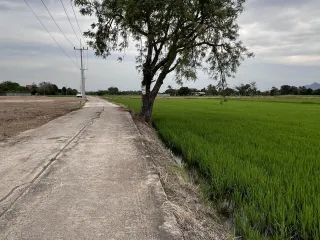 For sale land in Sao Hai, Saraburi