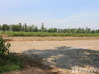 For sale land in Nong Han, Udon Thani
