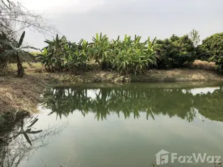 For sale land in Mae Sot, Tak