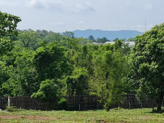 For sale land in Mueang Chiang Rai, Chiang Rai