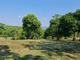 For sale land in Mueang Chiang Rai, Chiang Rai