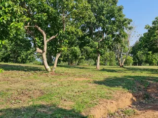 For sale land in Mueang Chiang Rai, Chiang Rai